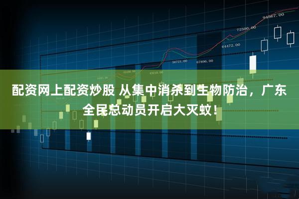 配资网上配资炒股 从集中消杀到生物防治，广东全民总动员开启大灭蚊！