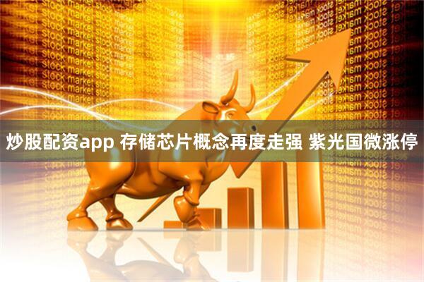 炒股配资app 存储芯片概念再度走强 紫光国微涨停