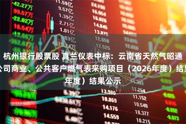 杭州银行股票股 真兰仪表中标：云南省天然气昭通有限公司商业、公共客户燃气表采购项目（2026年度）结果公示