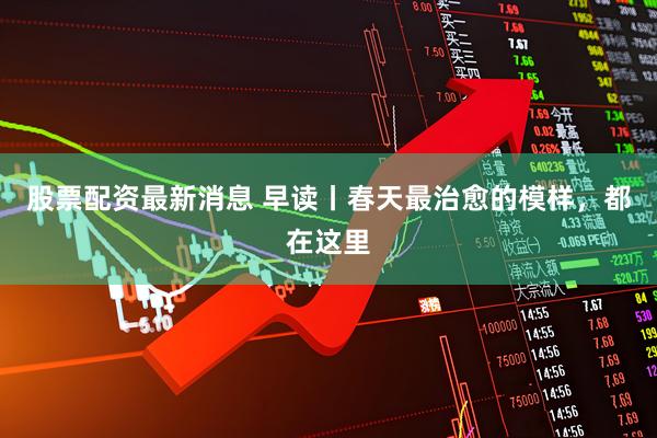 股票配资最新消息 早读丨春天最治愈的模样，都在这里